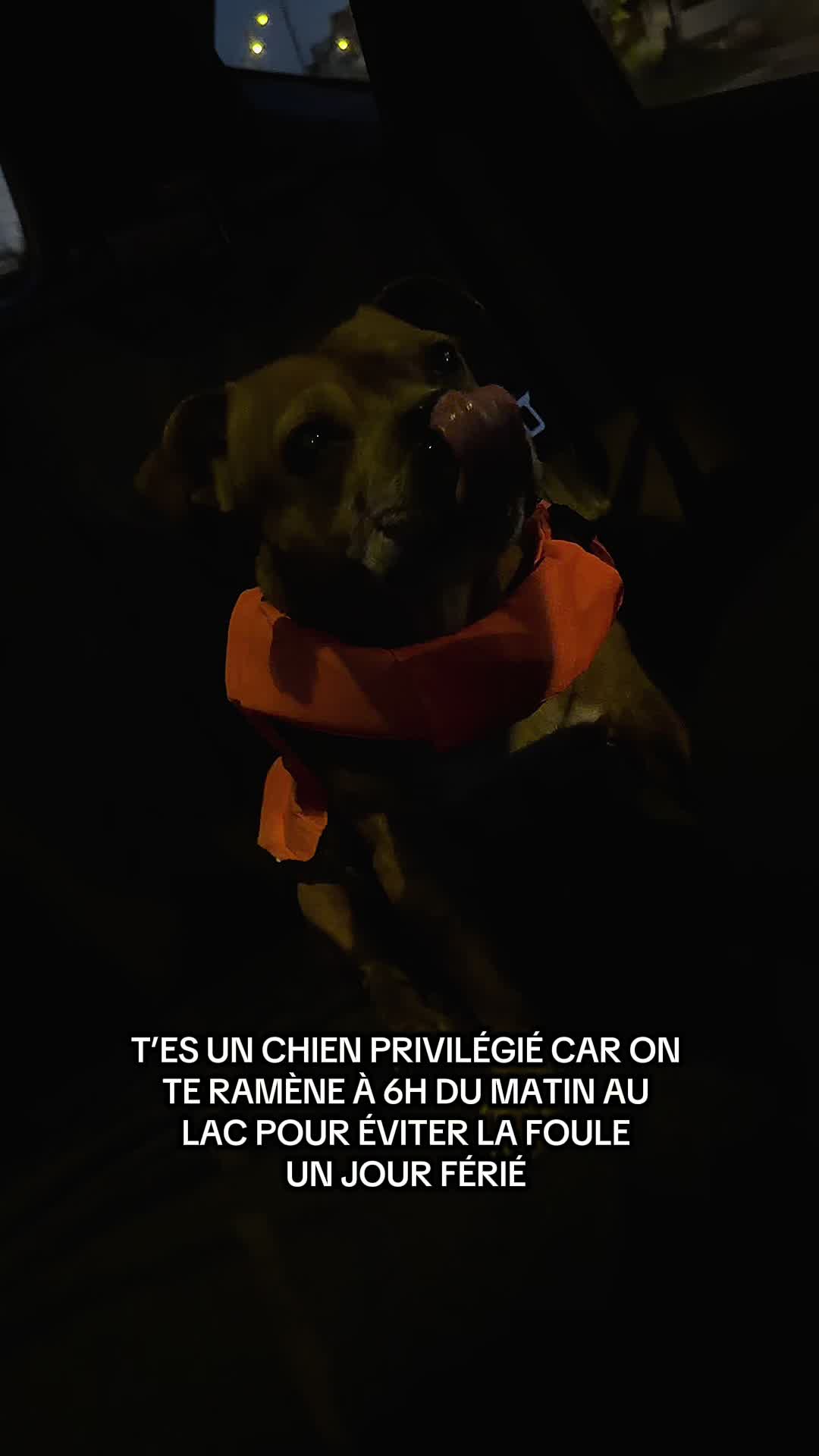 @🐾 Malki Red Star 🐾