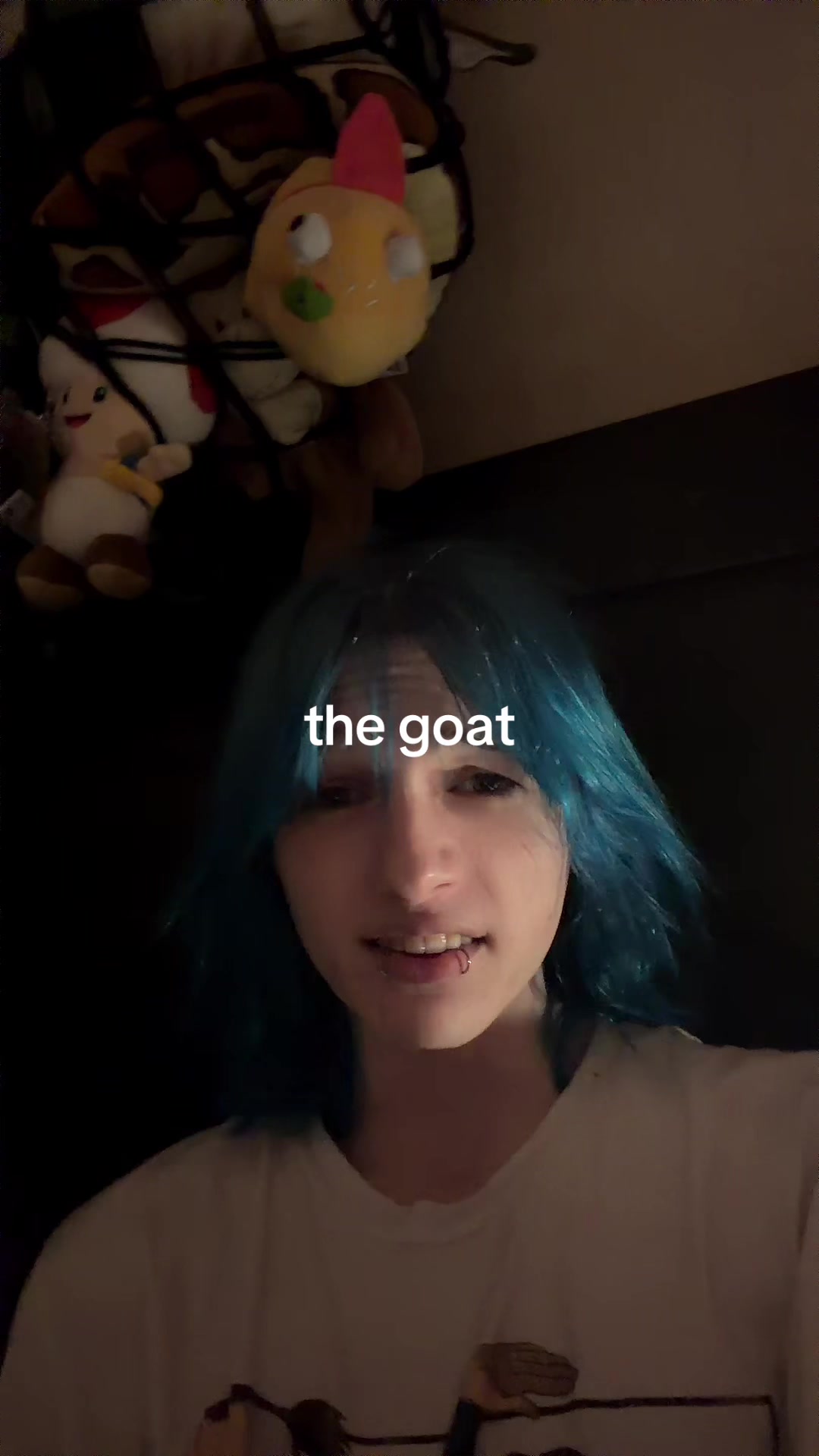 @ankreil
