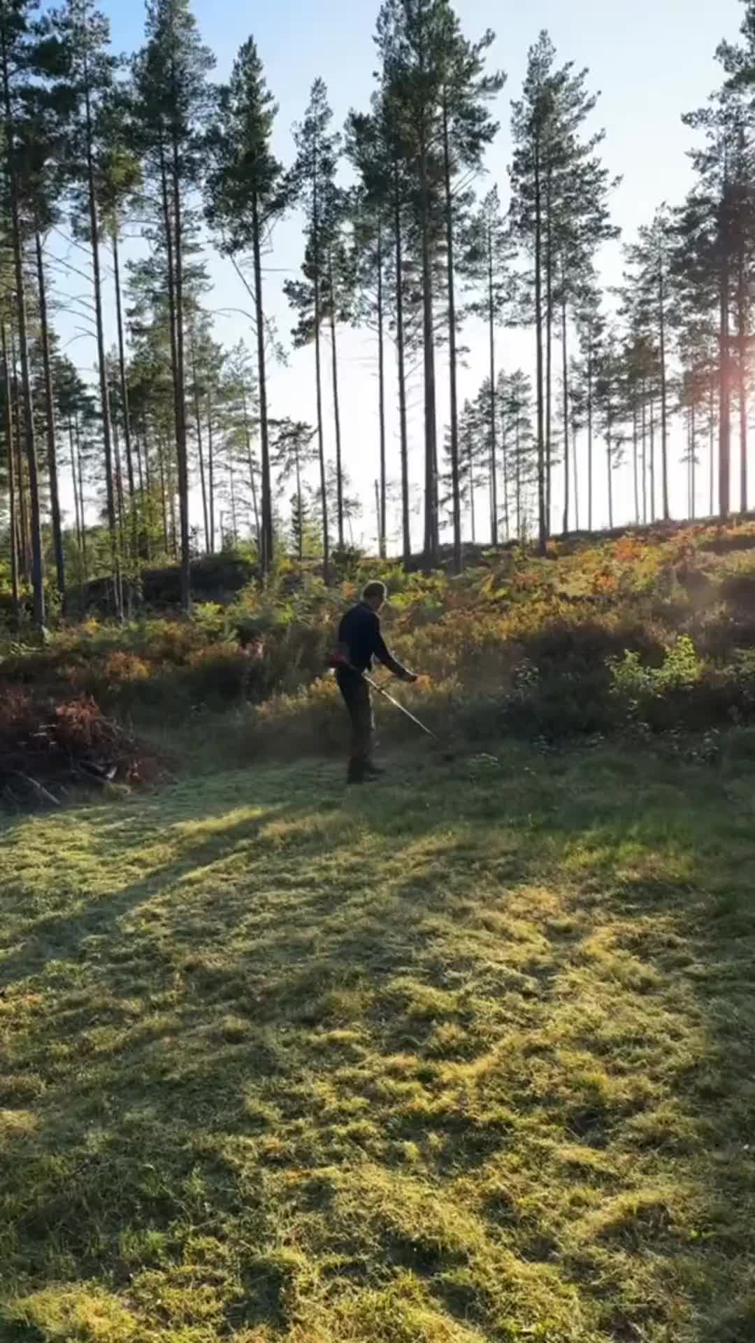 @F&oslash;rste Gir