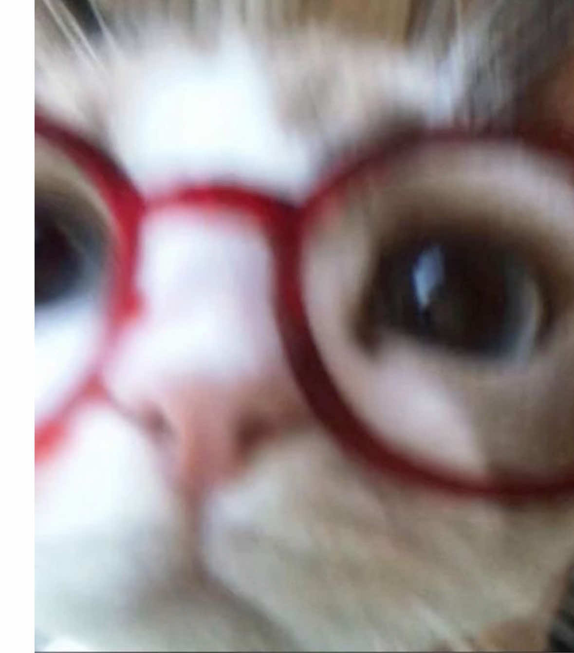 @g