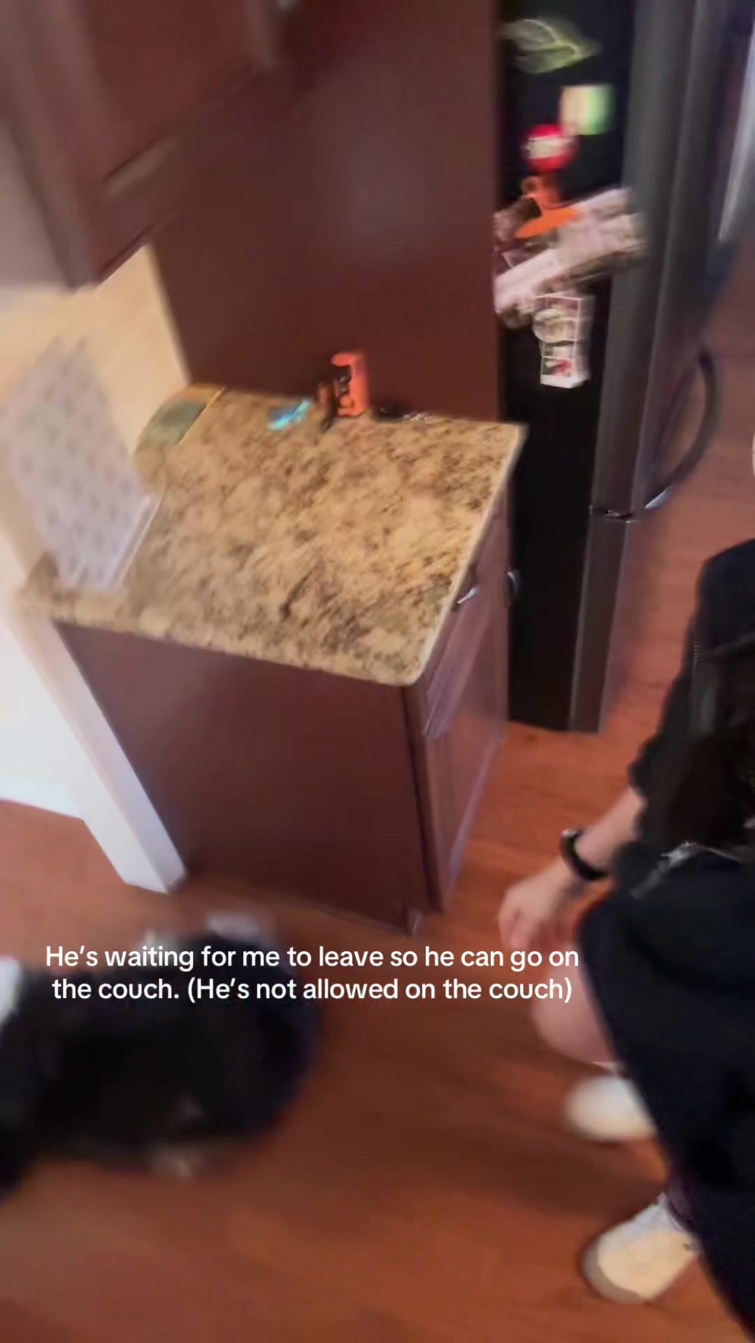 @Jess vs The World