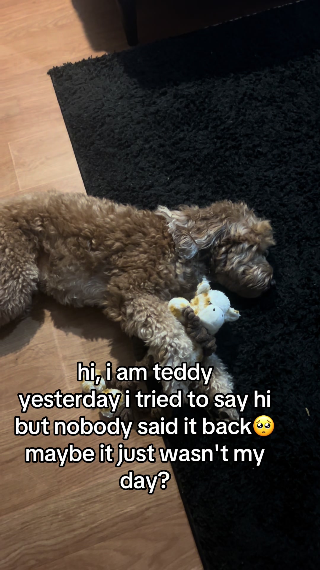 @Goldendoodlelover