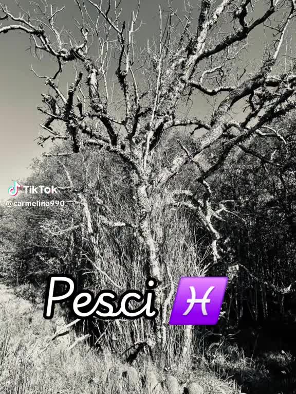 @🦋🪷 &lena 🪷🦋