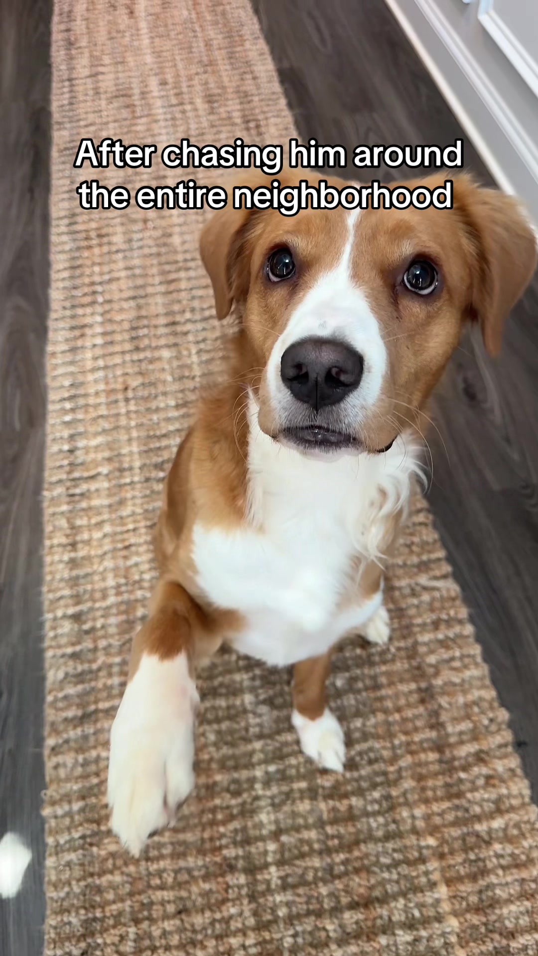 @My Dog’s Dope