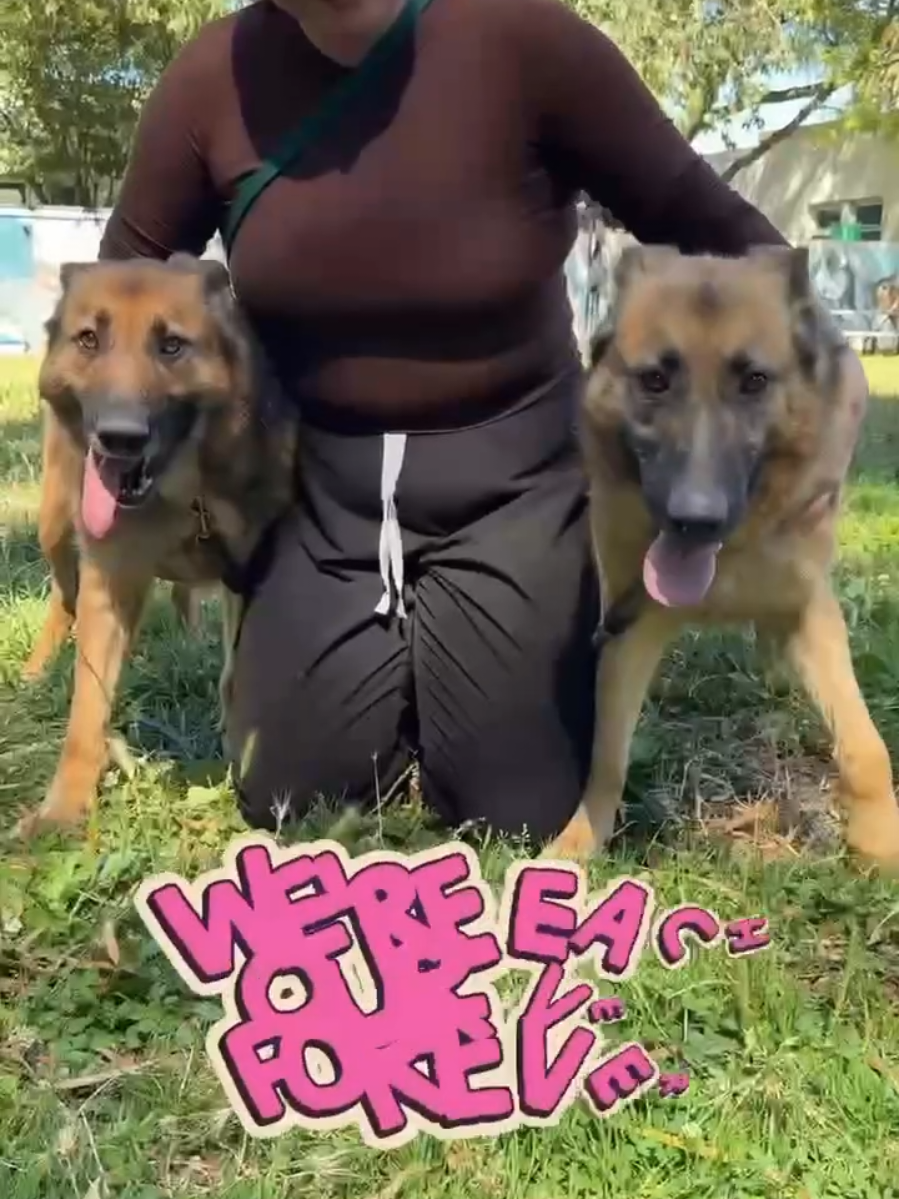 @Oakland Animal Services