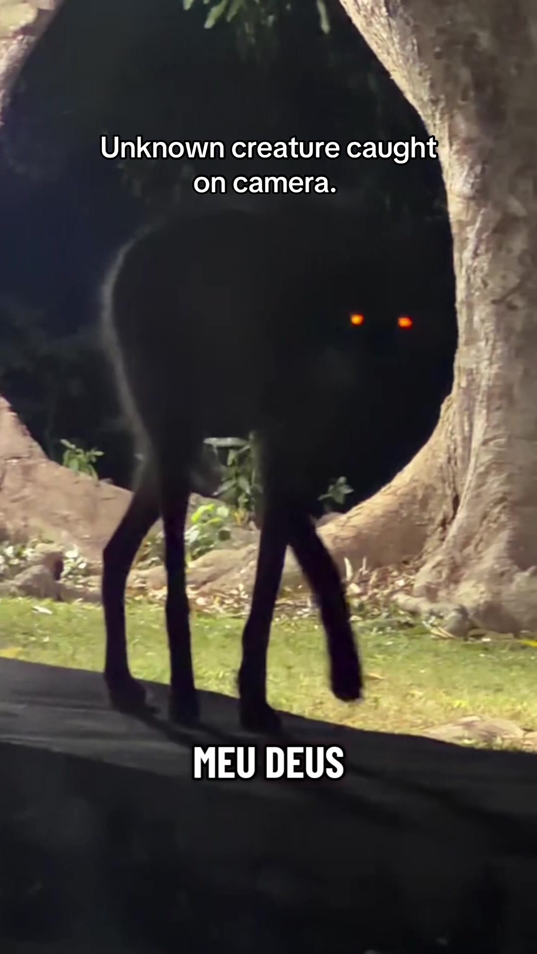 @Cryptid