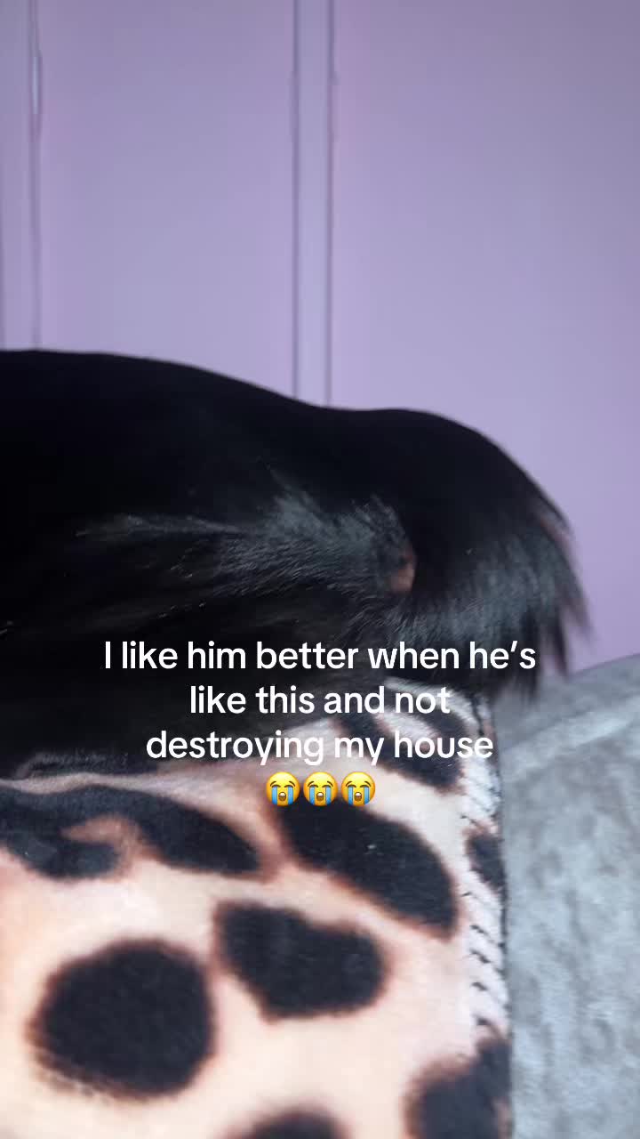 @ashlea