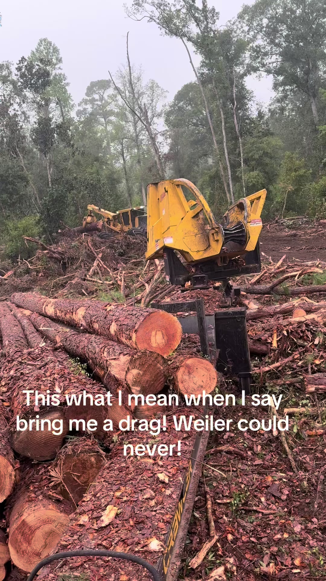 @Logger Duke