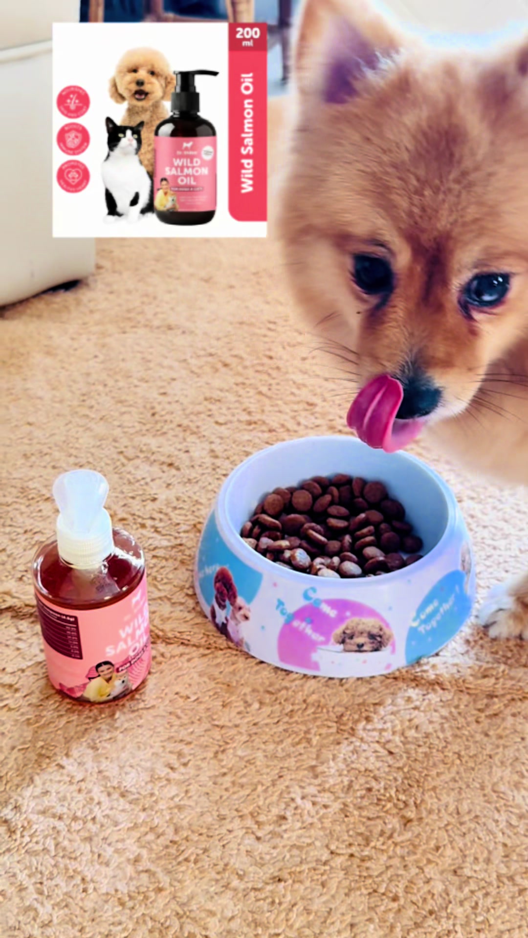 @MissLovey ᥫ᭡ 𝒿