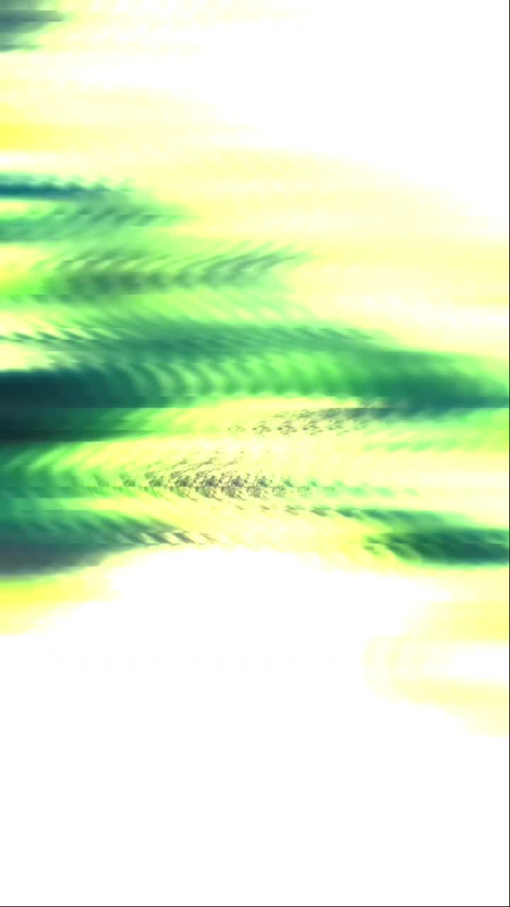 @&deg;&bull;║✮&bull; 𝙠a𝙞𝙨𝙚𝙧 &bull;ᴴᵉʳᵒ&bull;✮║&bull;&deg;