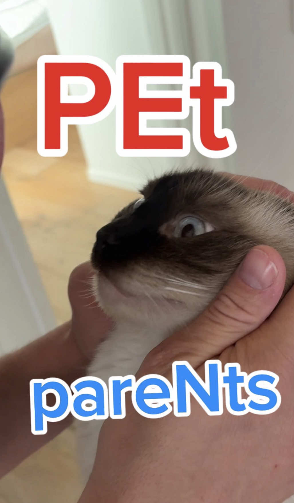 @Merv The Cat