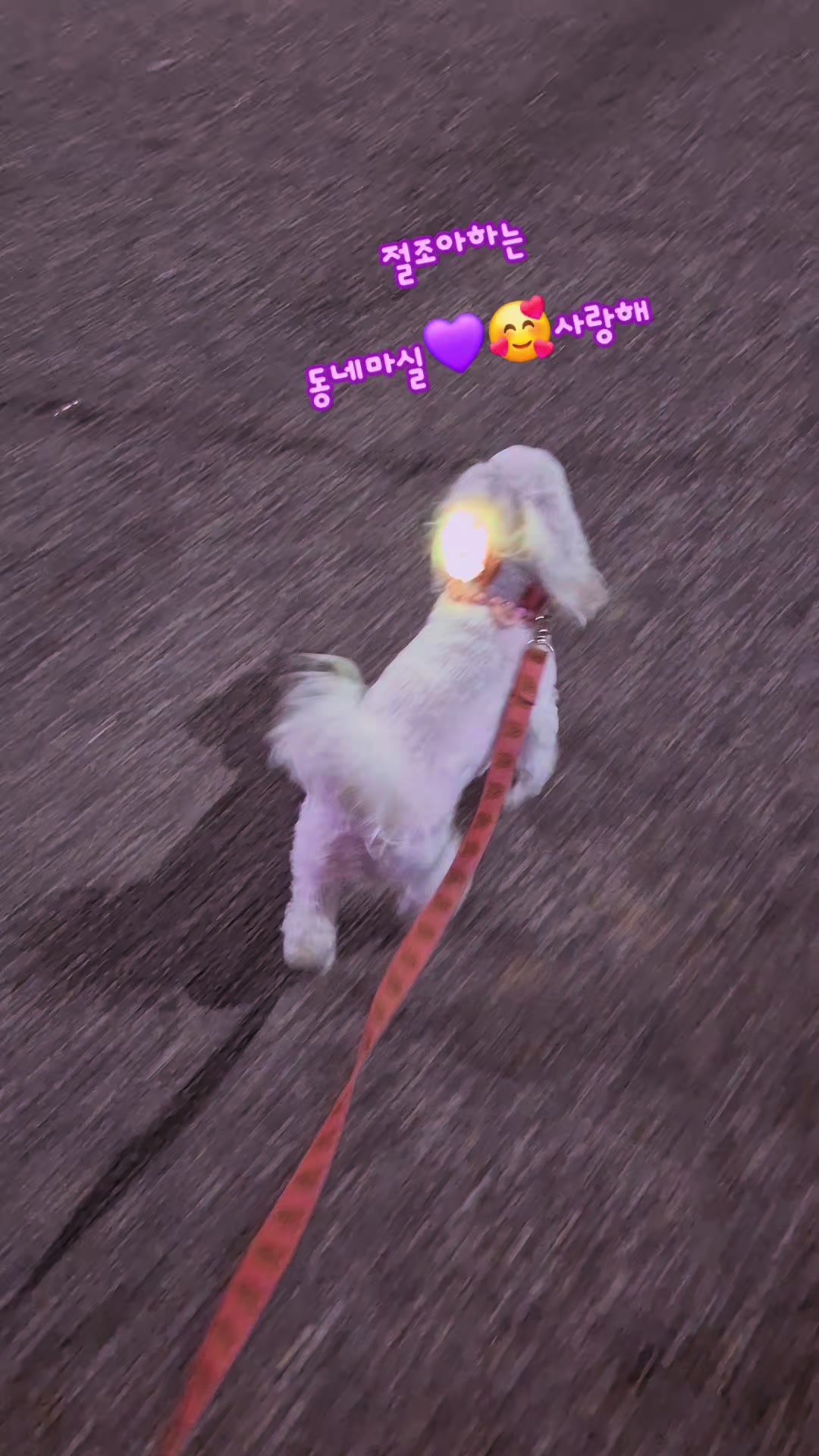 @๐๐secret๐๐