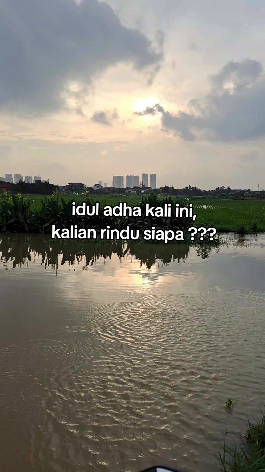 @Halimah Raka