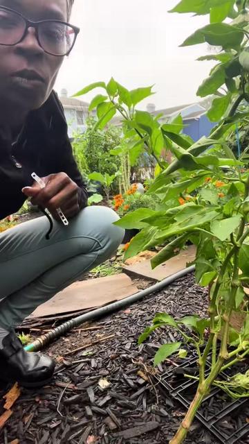 @GreenthumbHeaven1100