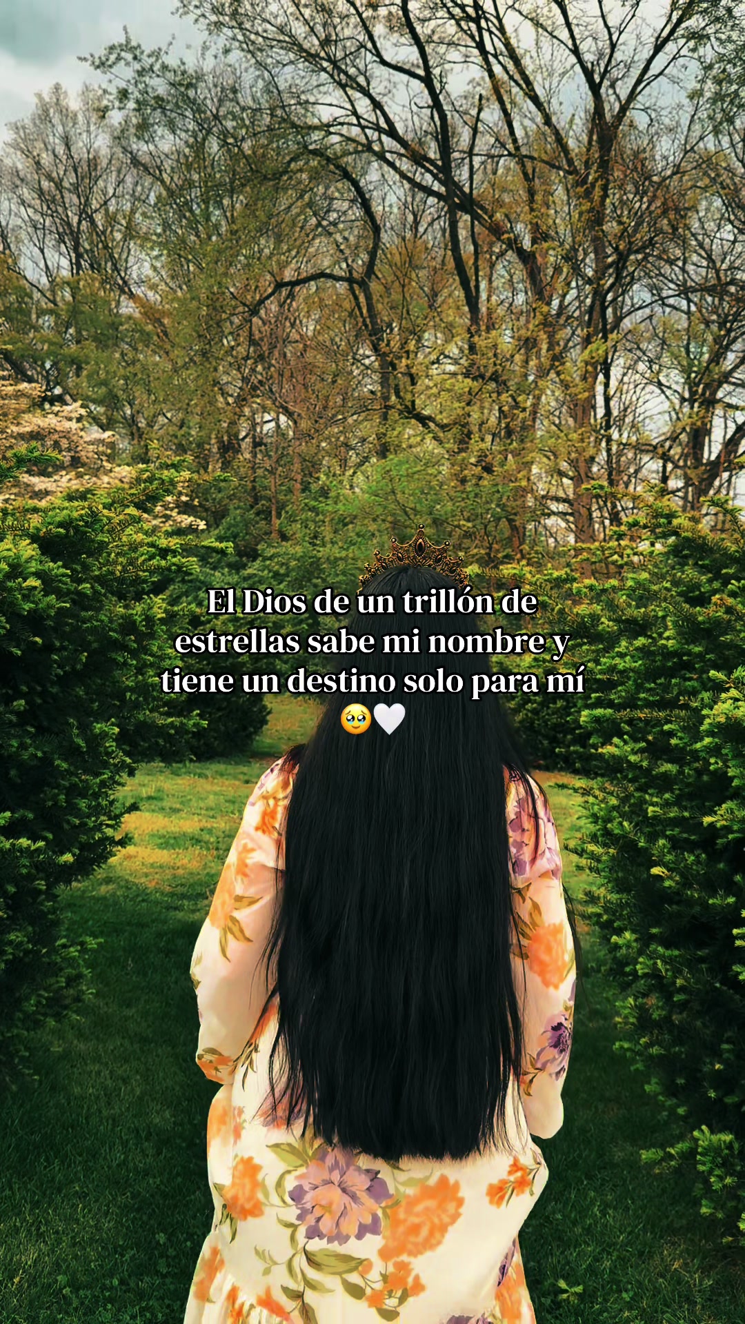 @🤍✨.