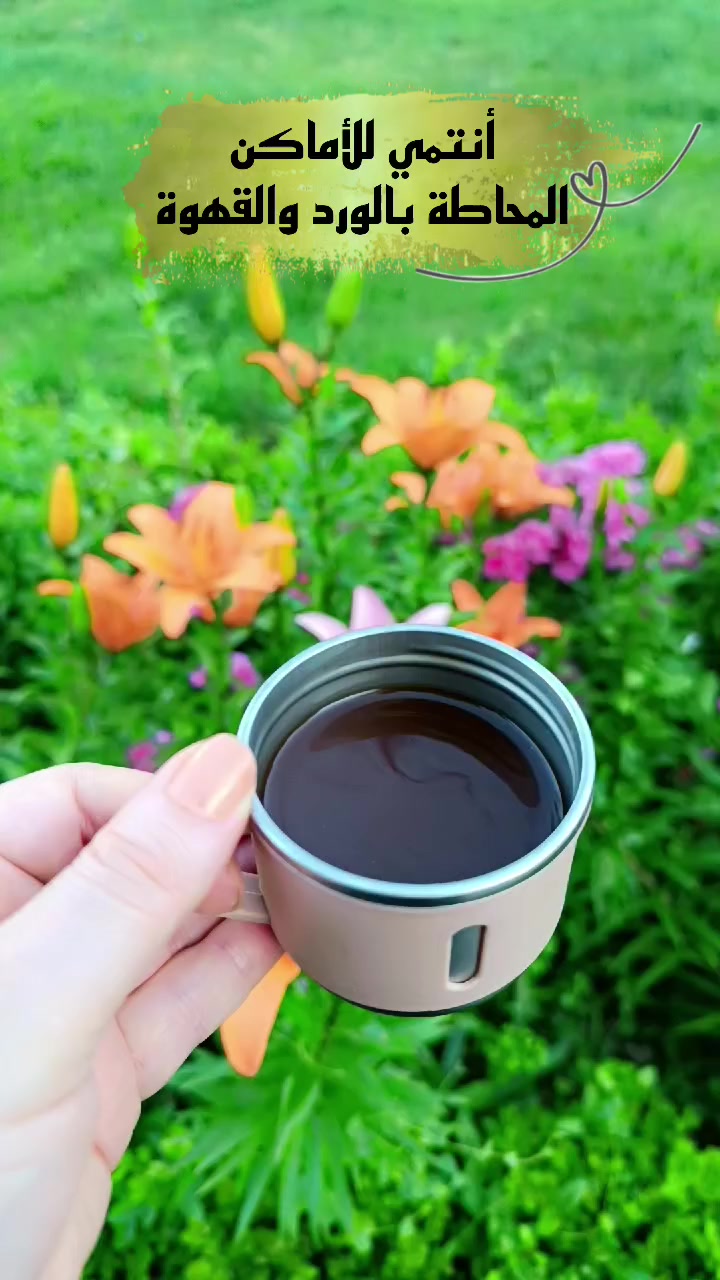 @☆𝑵𝒆𝒔𝒓𝒊𝒏𝒆☆