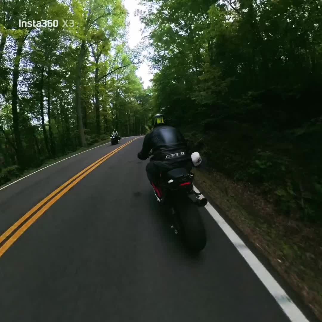 @_AL_Shark