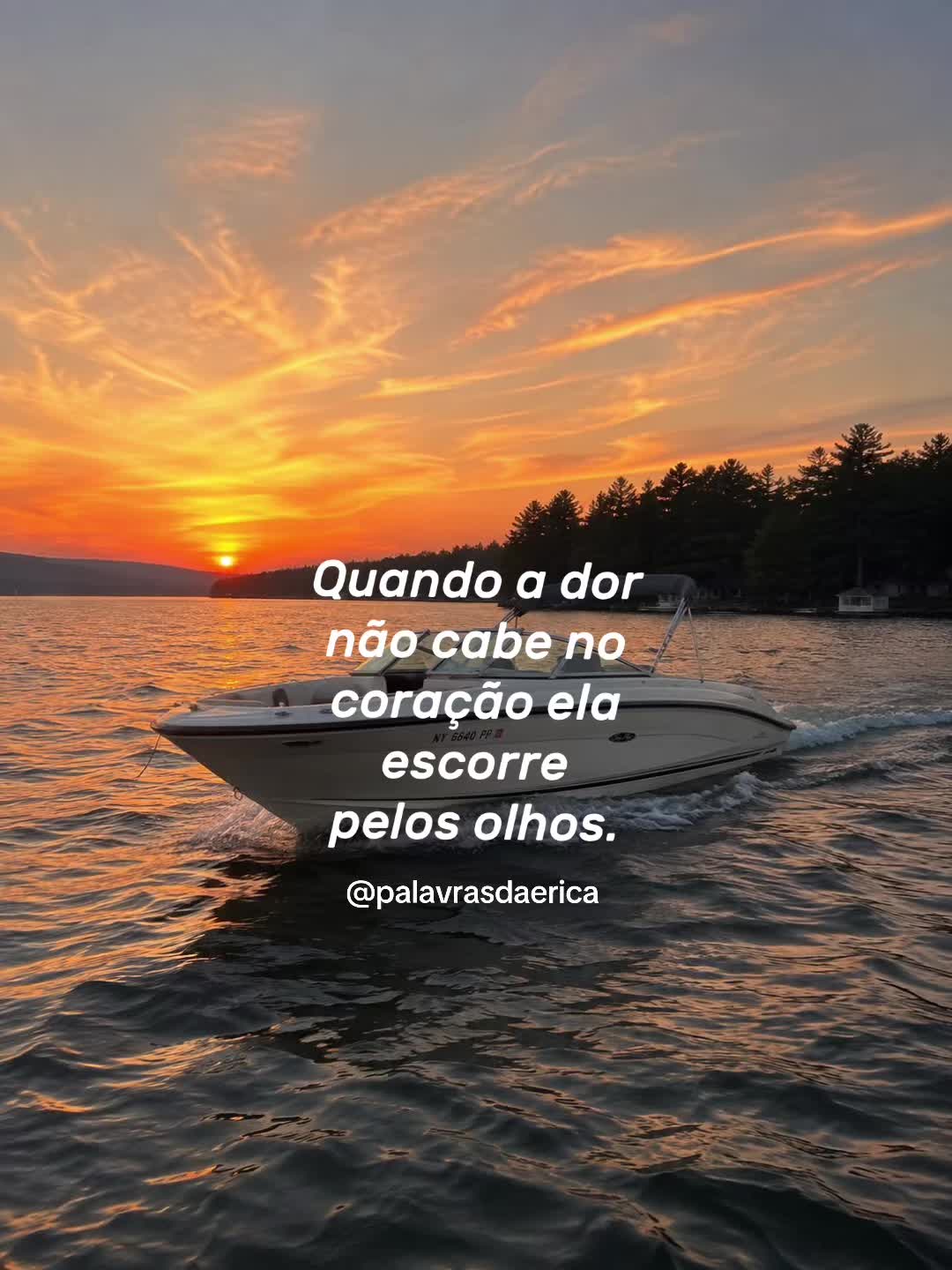 @PalavrasDaErica