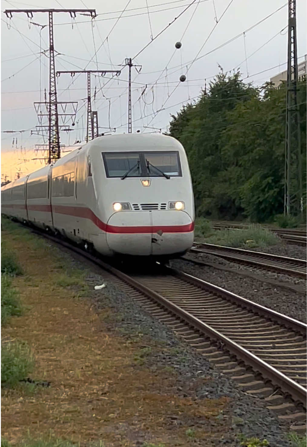 @Trainspotterin_Alina🧃