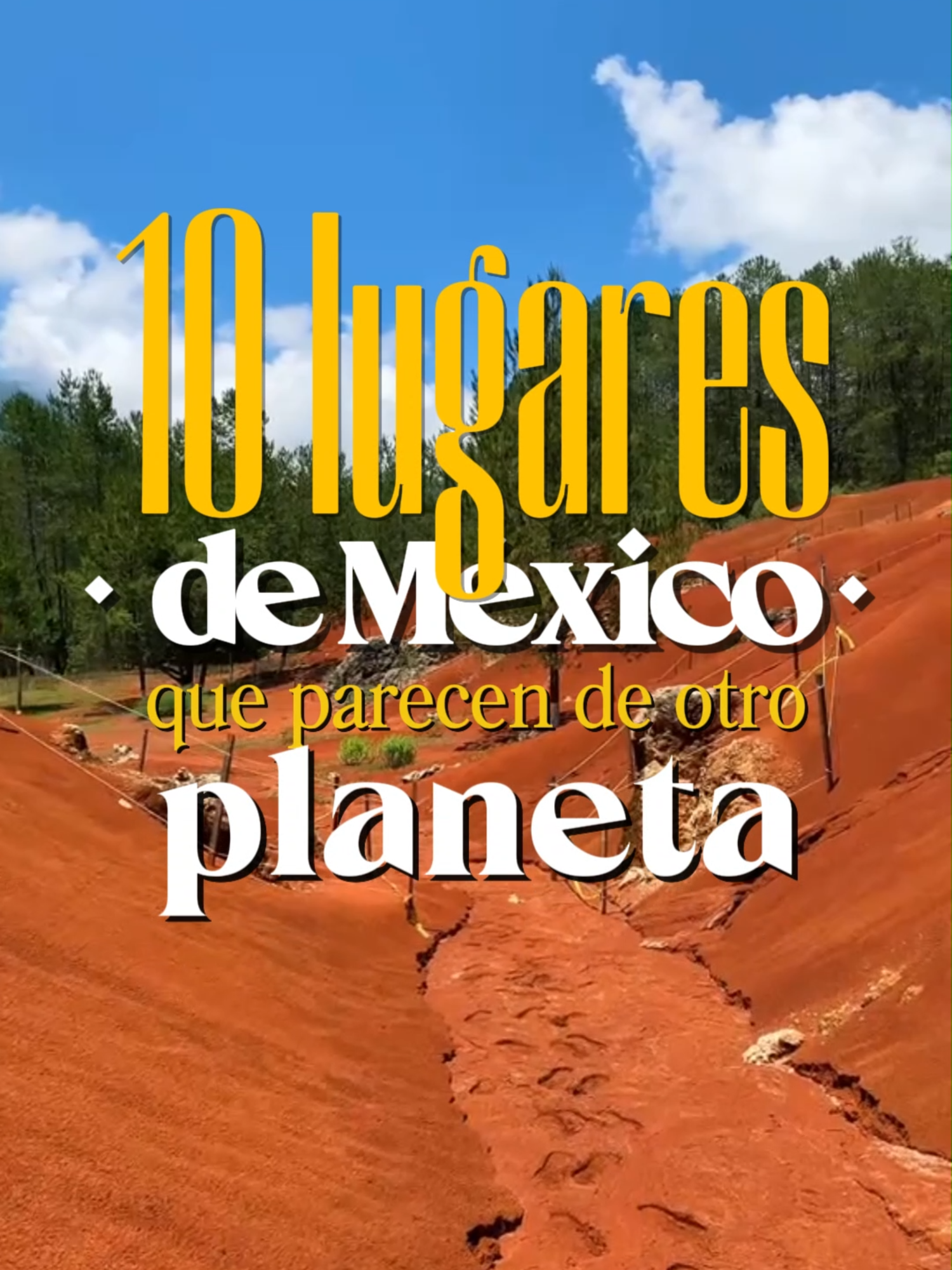 @TravelReportMX