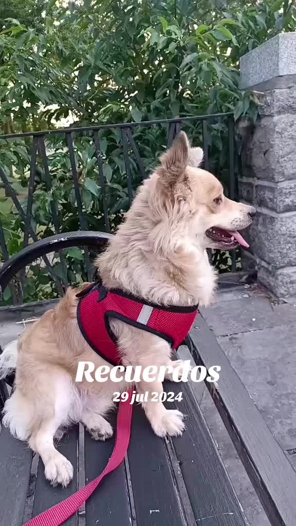 @❤Gloria❤