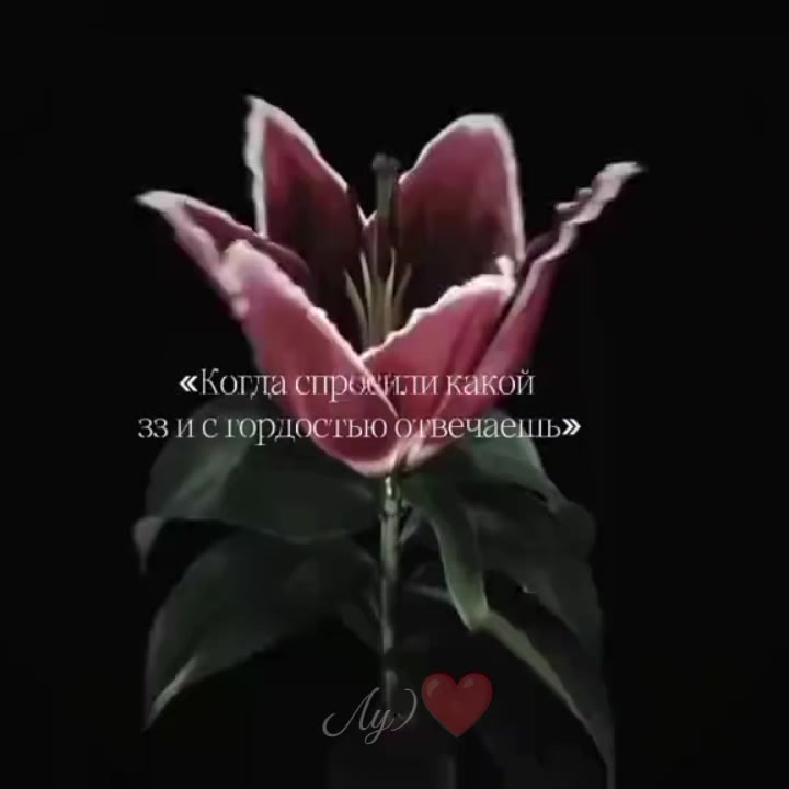 @Лу)❤️