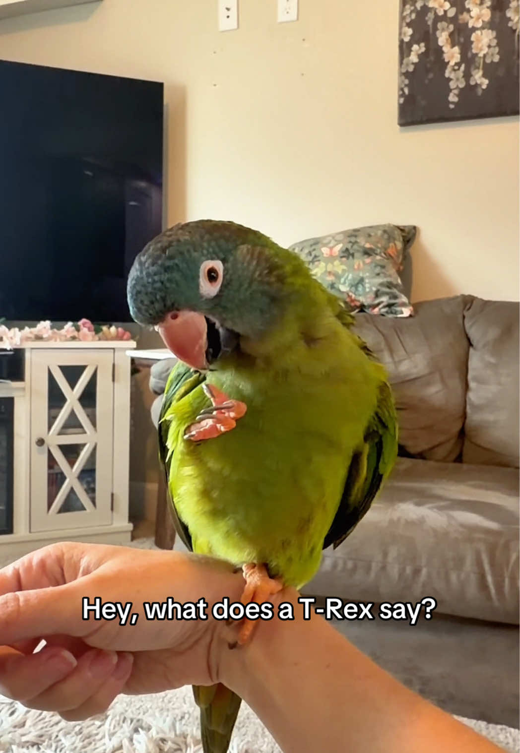 @Jessica Wings
