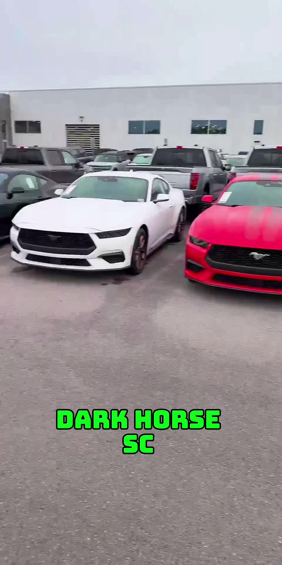 @hobblyknowsbest