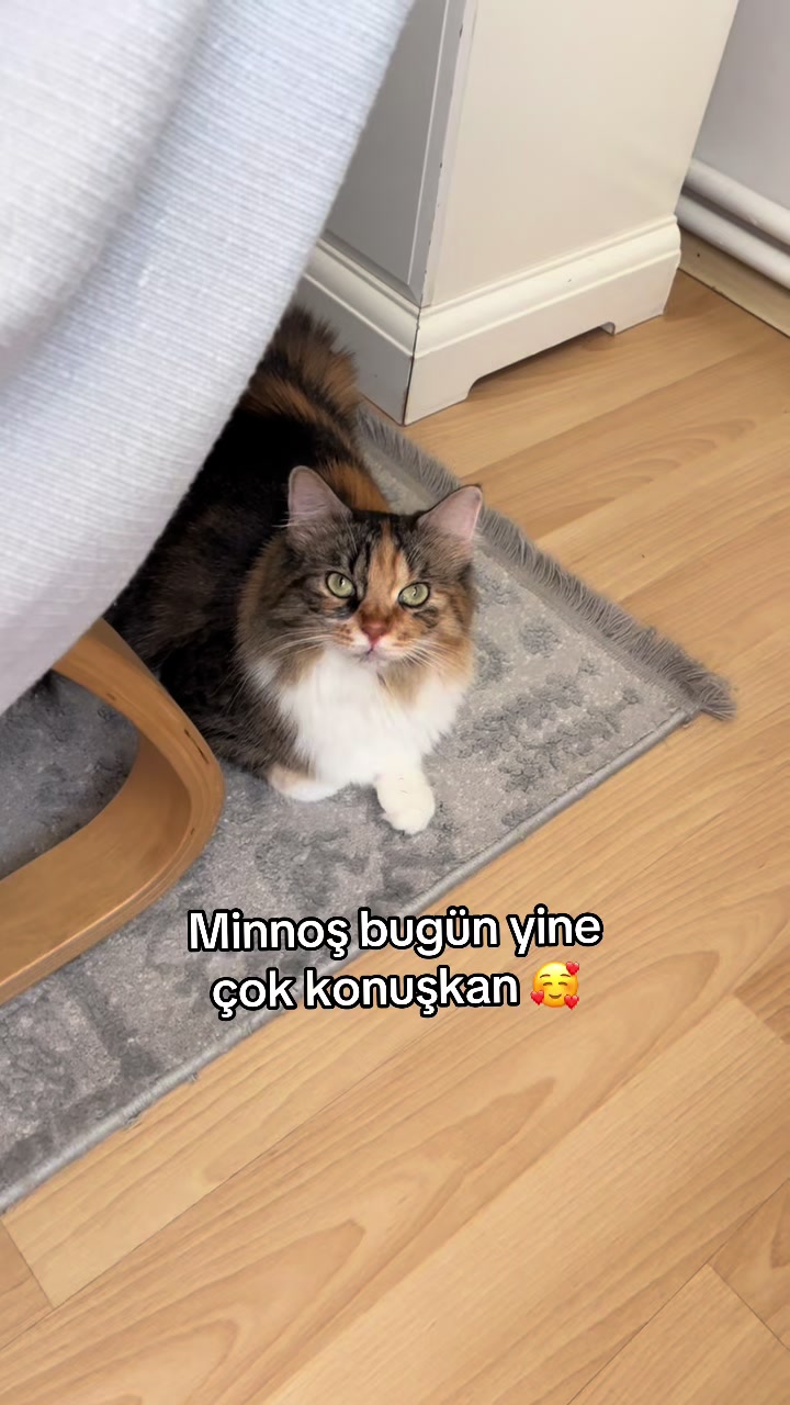 @konusankediminnos