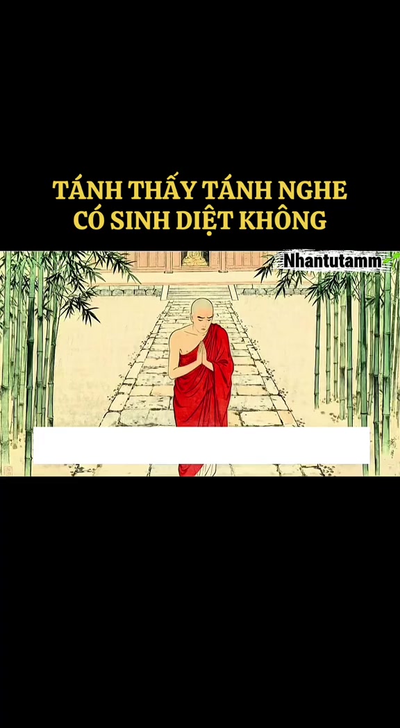 @Khoa