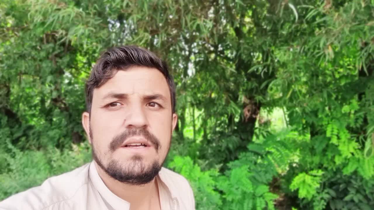@👑 Naseem Bangash 👑