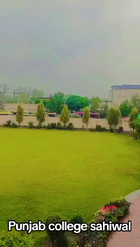 @Punjab collage sahiwal