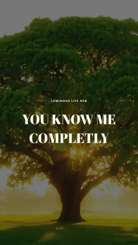 @Luminous Life Hub
