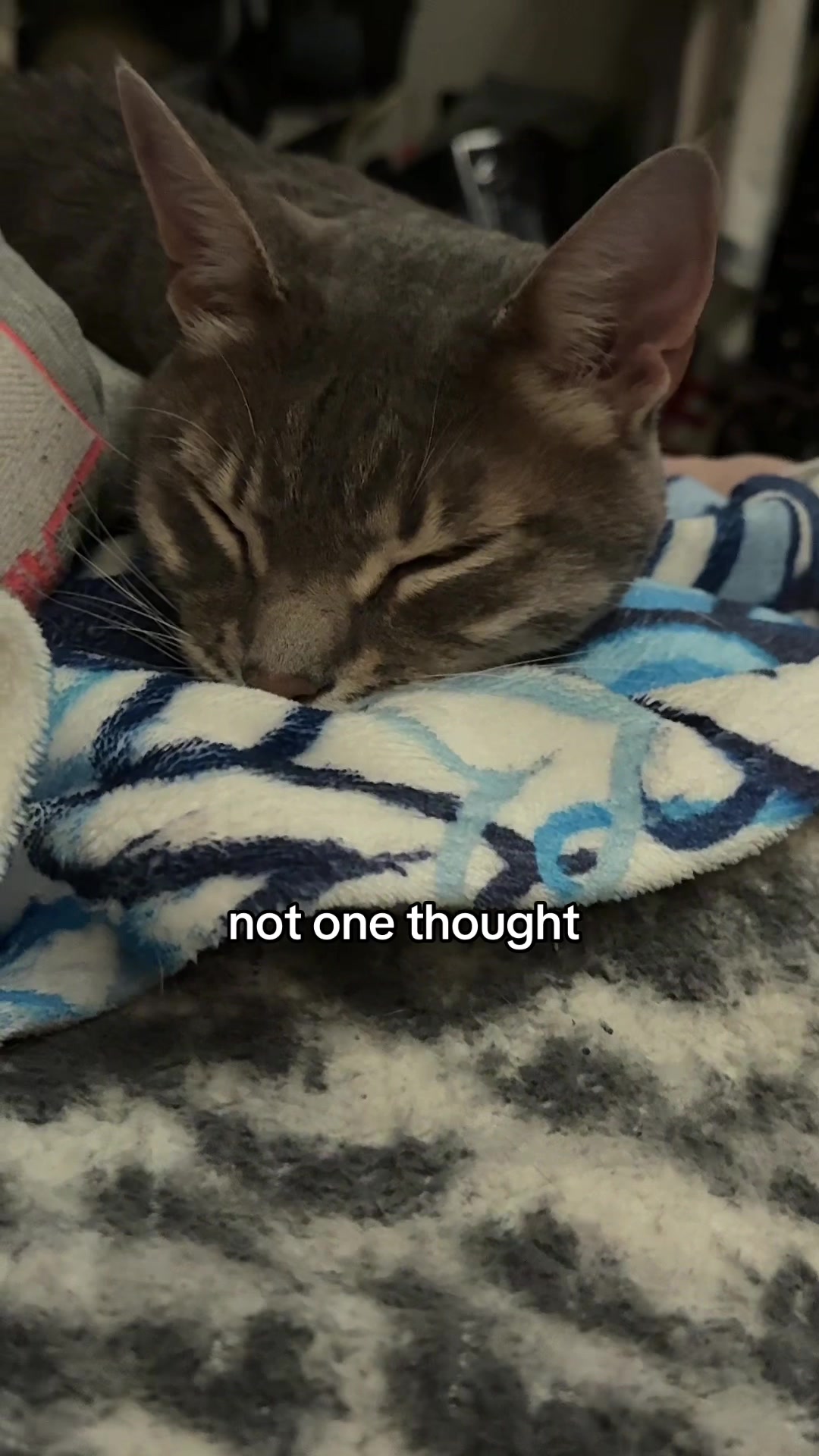@em🕯️