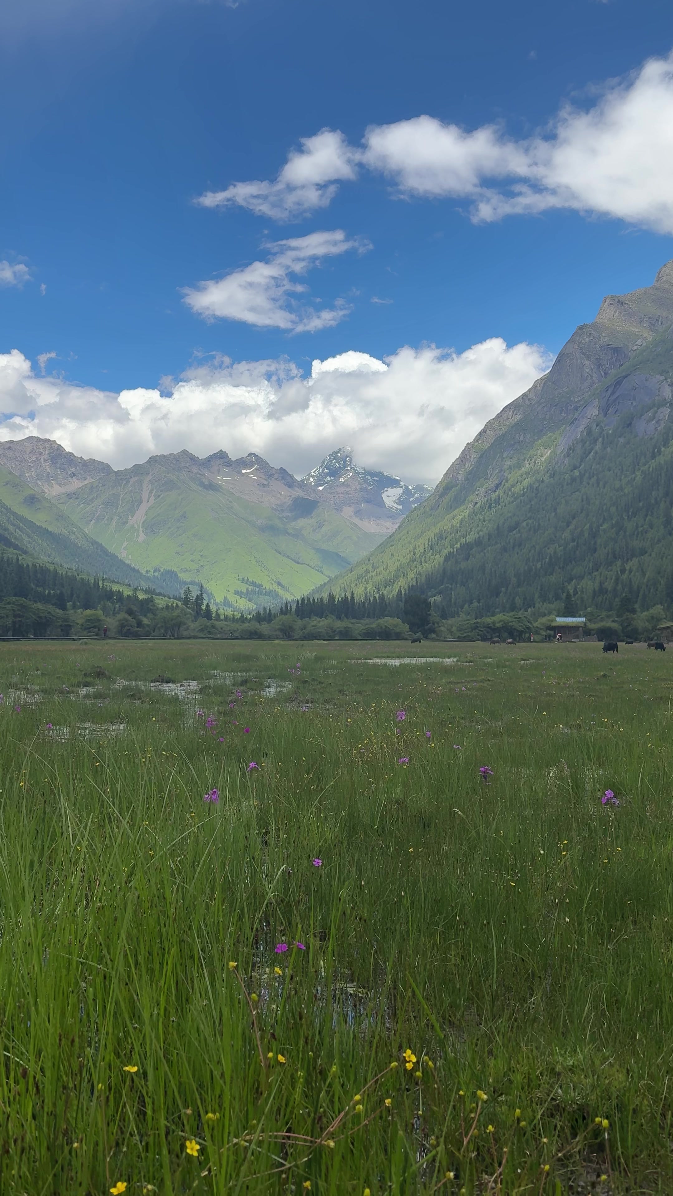@natur