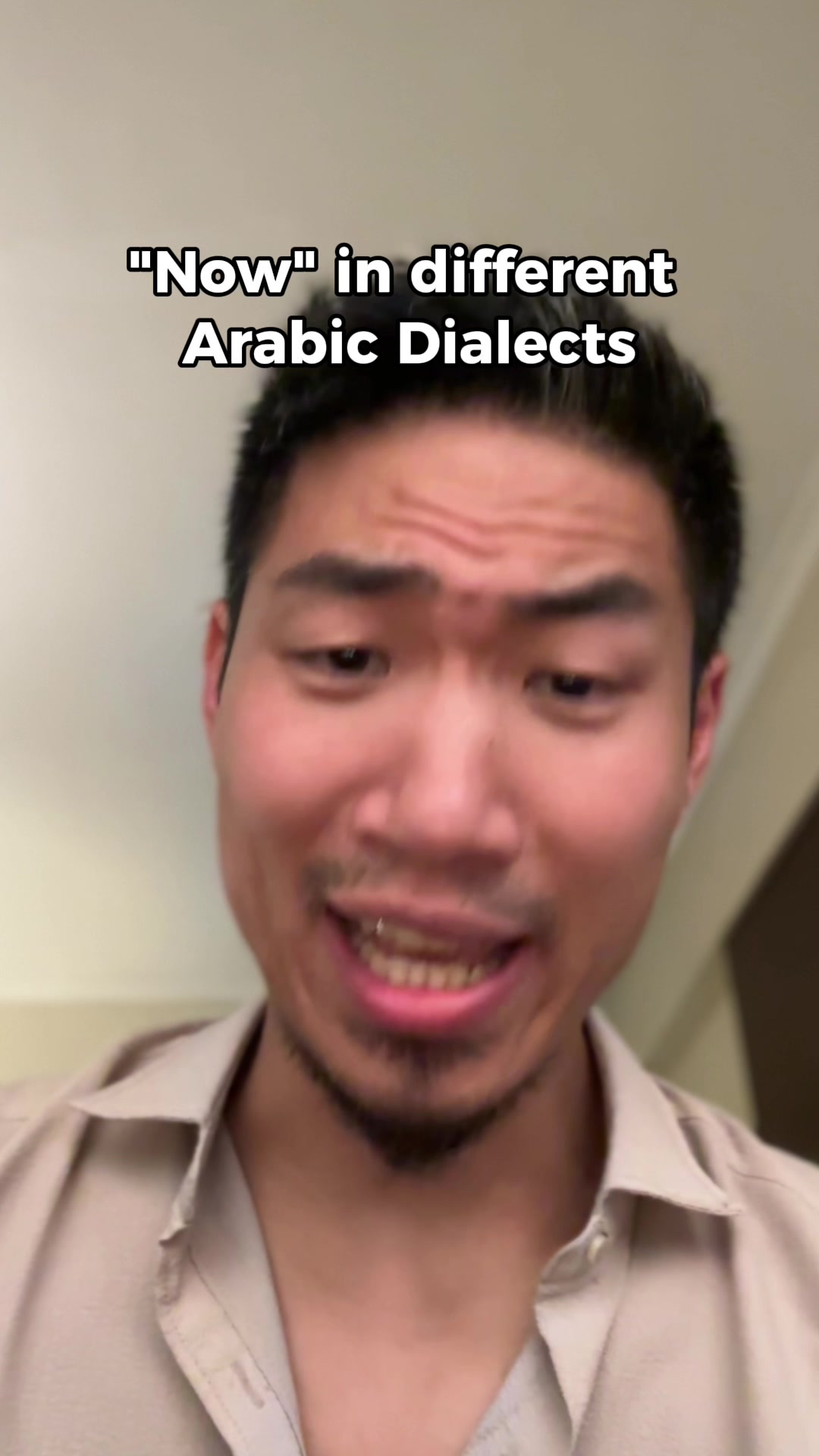 @FalafelKimchi