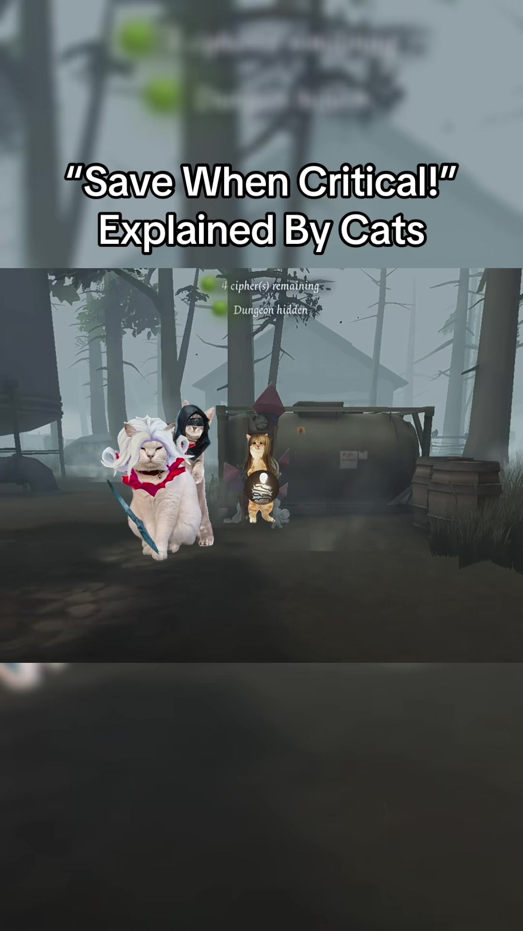 @~WildCard~