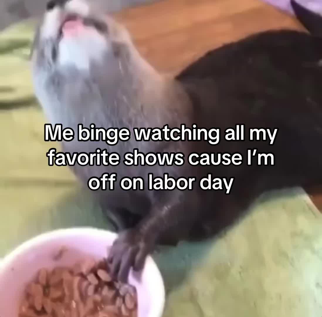 @Hxbitz