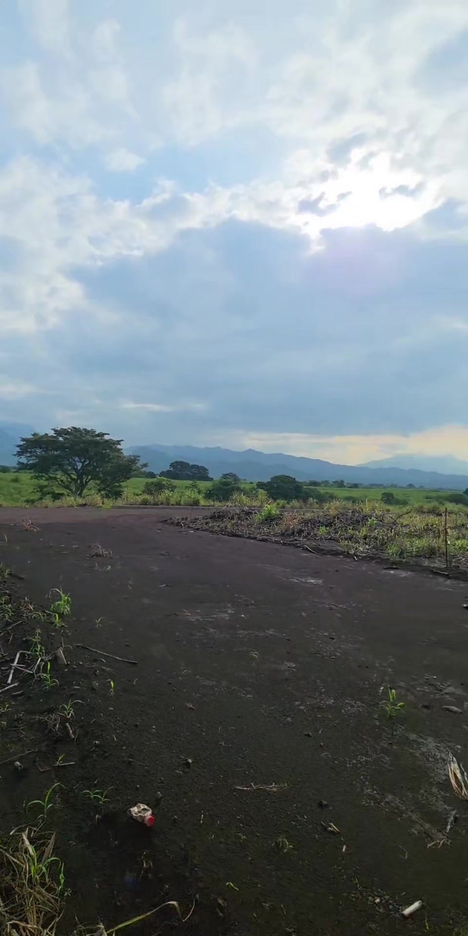 @William Martínez_Bienes Raíces