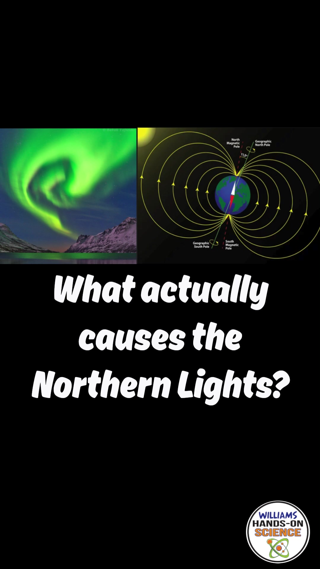 @NGSS STEM Lessons & Activities