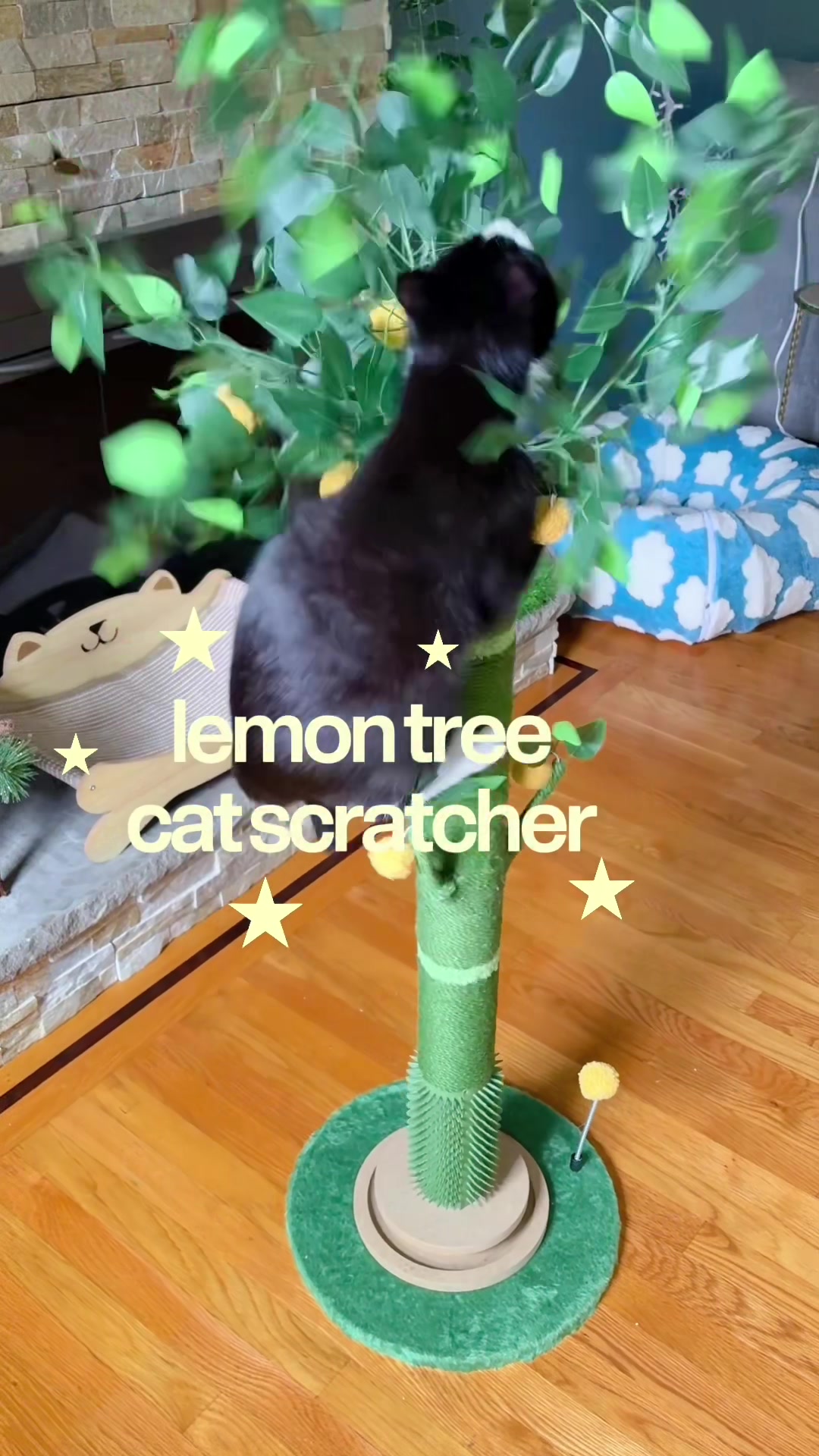 @Juno 💫🐈