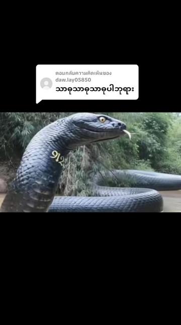 @PKTI