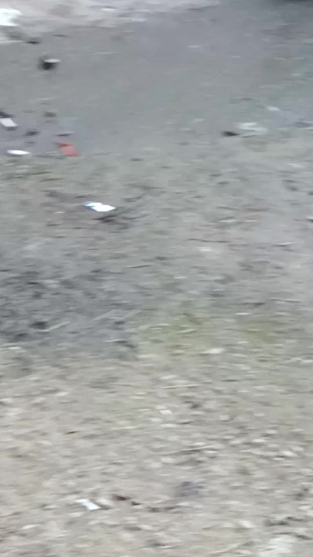 @Adem Çelik