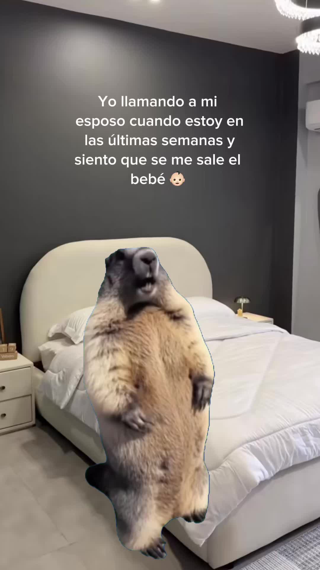 @Victoria Gil