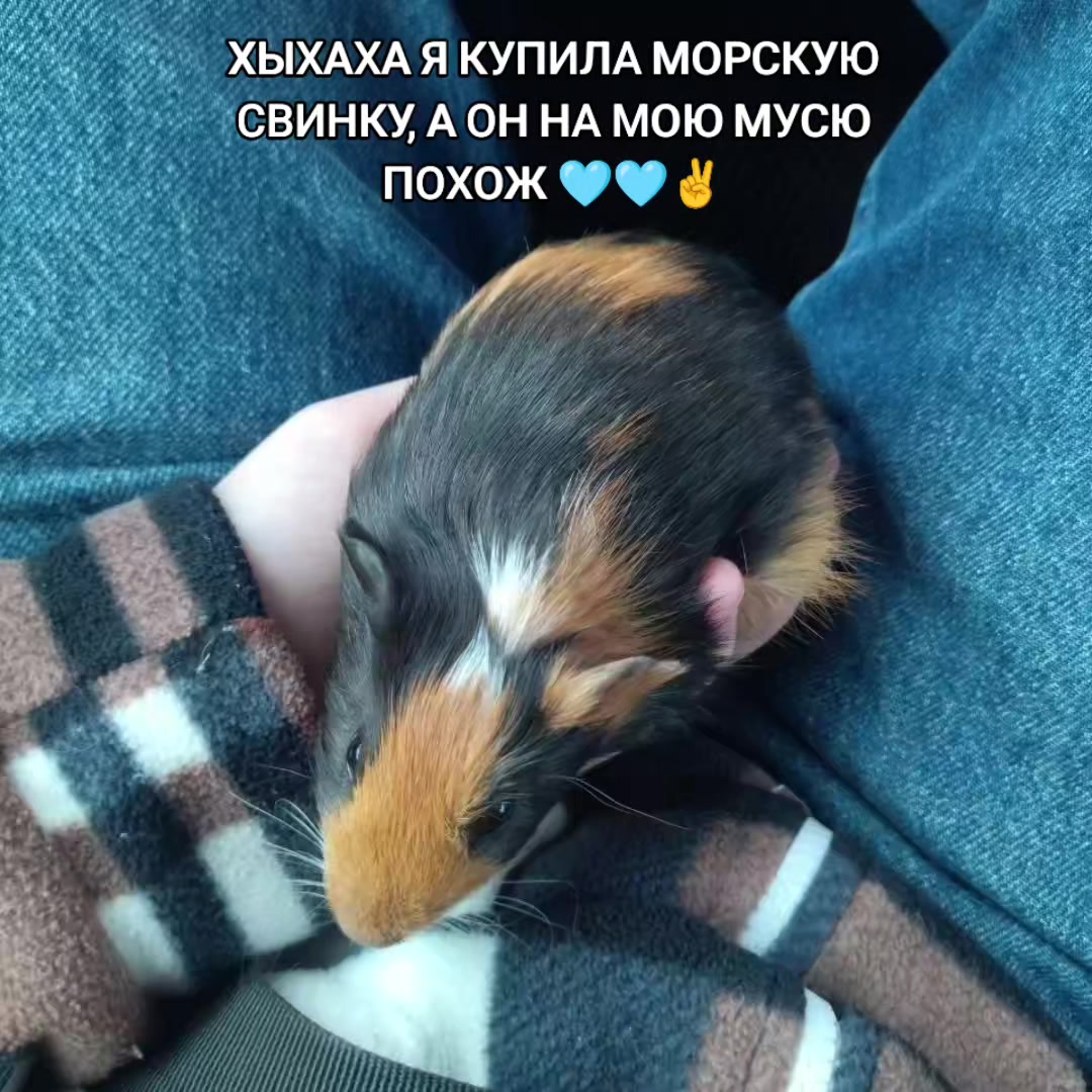 @джонни бой