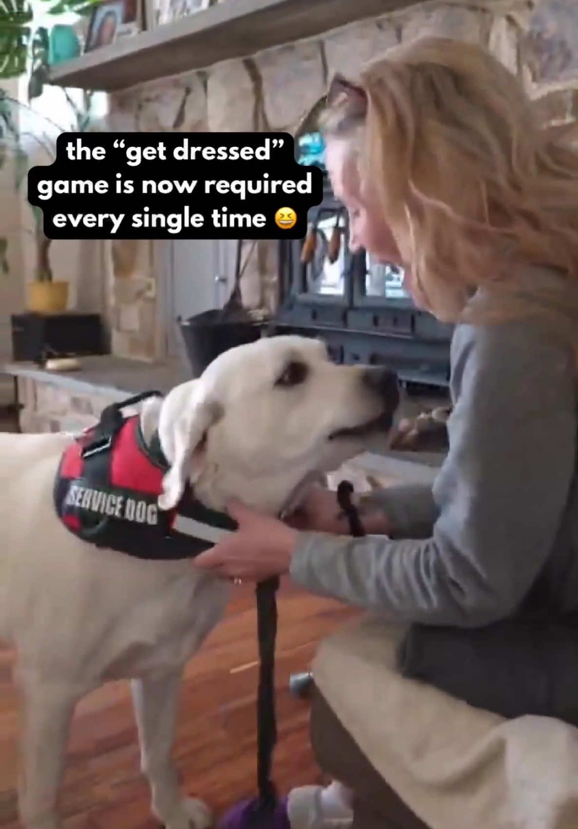 @pawsandamptics