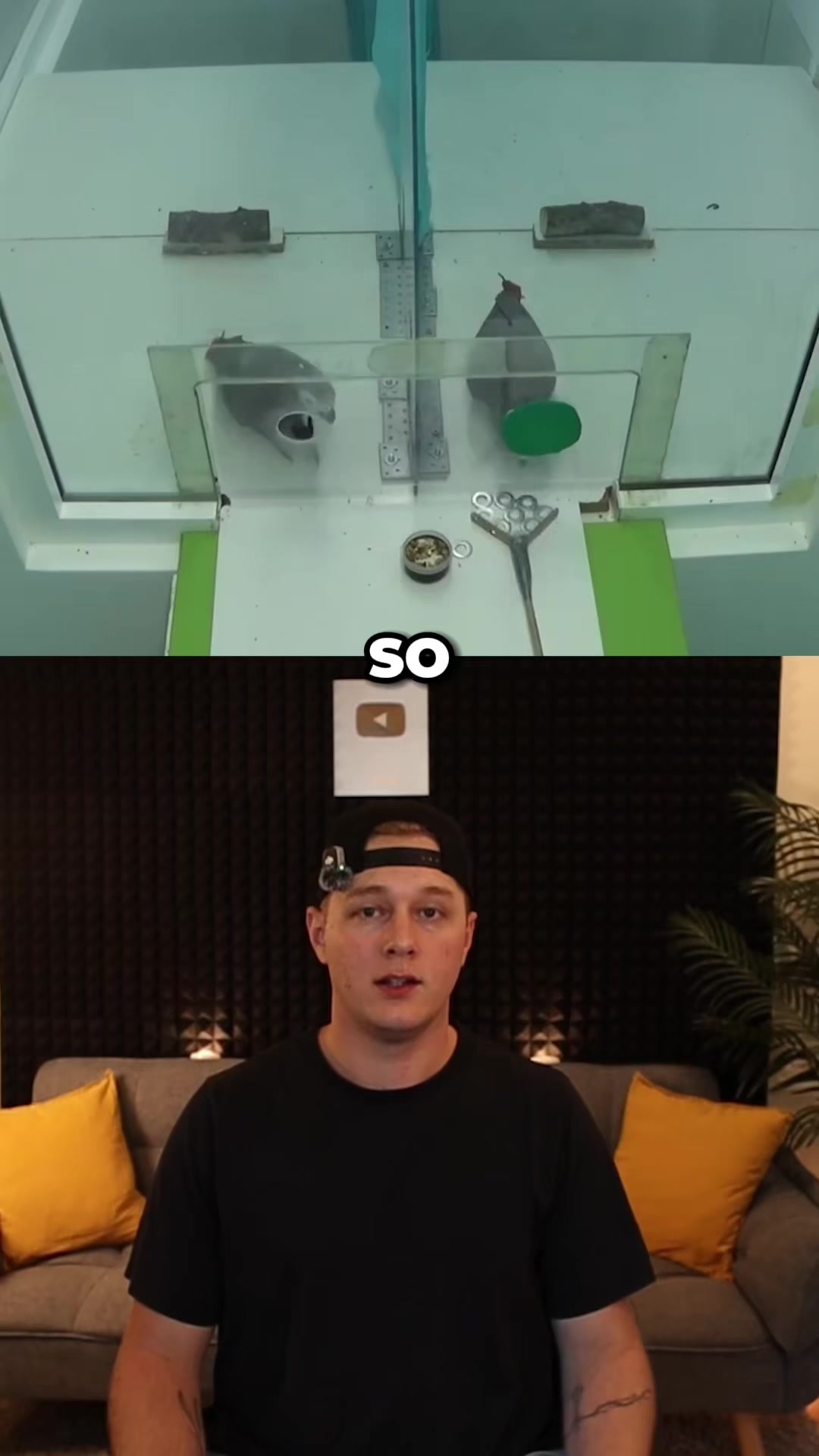 @Koztent