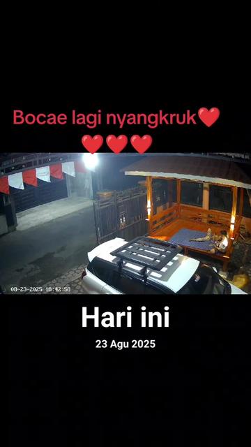 @Paijah Pezzek