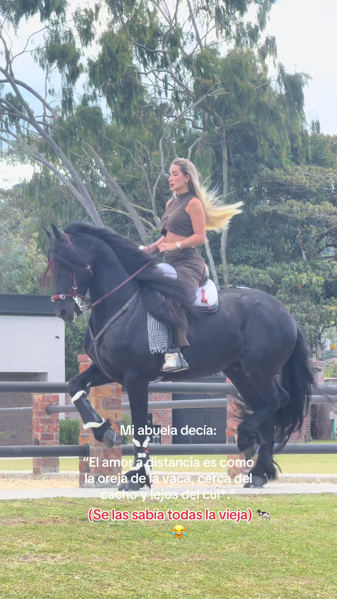 @Vane Betancur ❤️🐴❤️