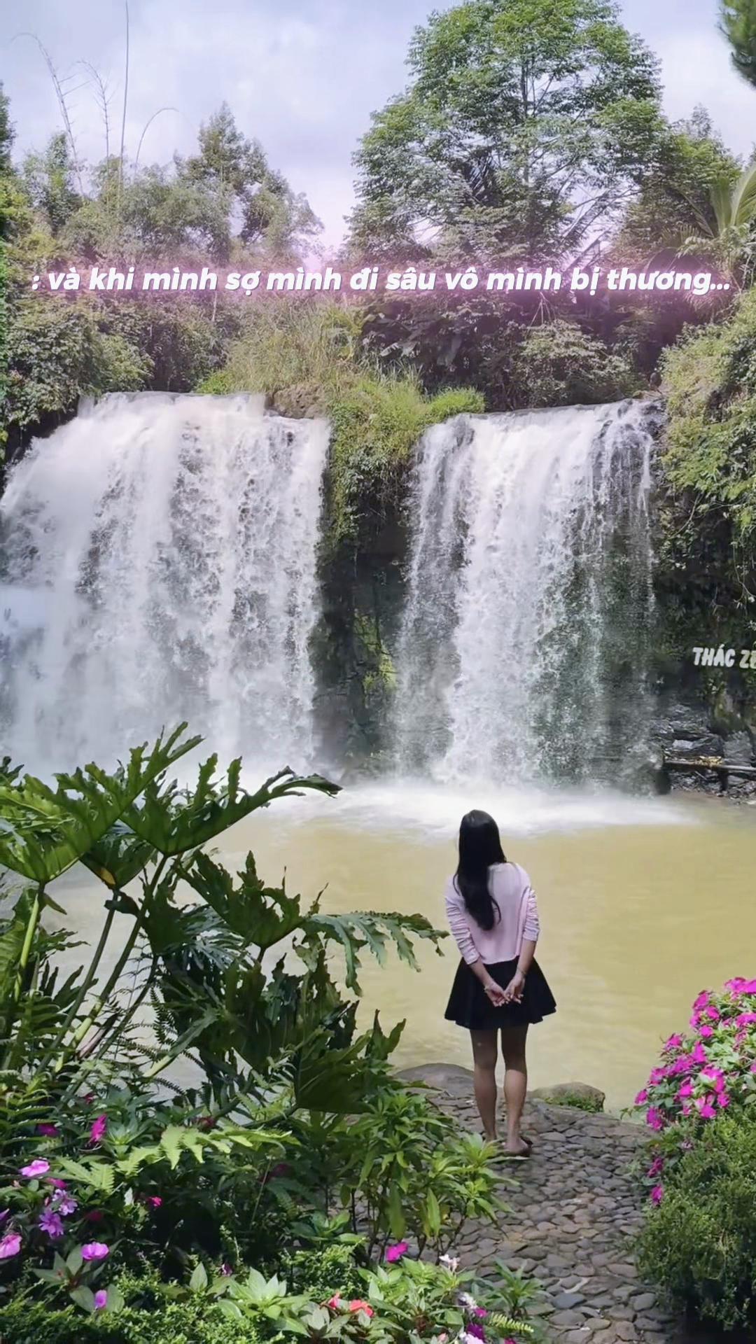 @🧚♂️Bồ Công Anh🧚♀️